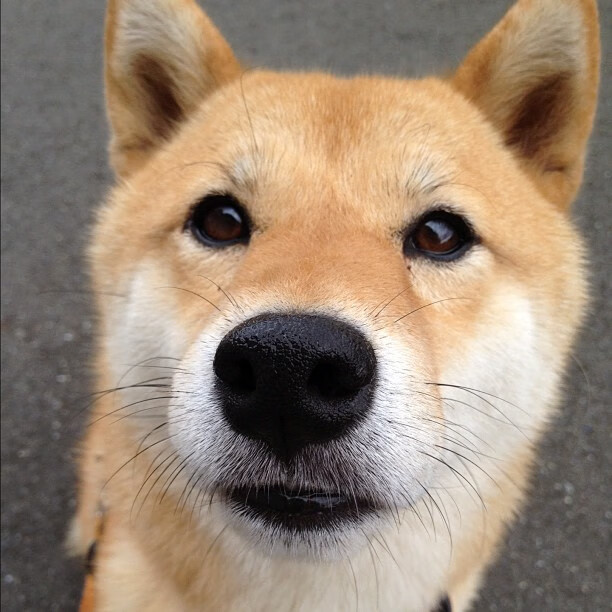 凯尔特人正面击溃奇才,贝恩主宰比赛走向的战术解析